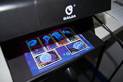 Global Stamps Geography